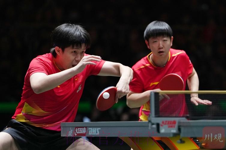 乒乓球世界杯直播高清赛事直击